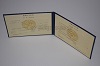 Стоимость диплома техникума УзбекАССР 1975-1991 г. в Краснознаменске и Московской области