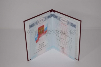 Красный Диплом Техникума 2009г в Москве