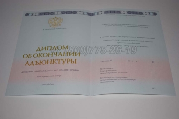 Диплом Адъюнктуры 2024г в Москве