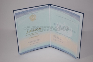 Диплом Колледжа 2014г СпецБланк в Москве