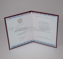 Аттестат За 11 Класс 2024г Золото ГОЗНАК в Москве